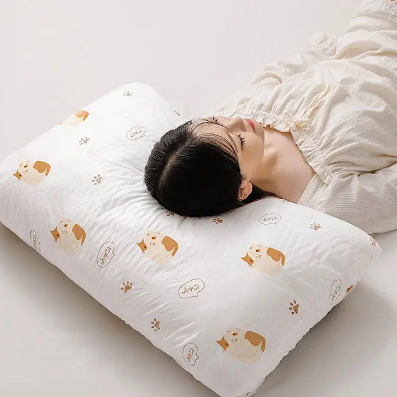 روبالشتی یکبار مصرف بسته 10 عددی